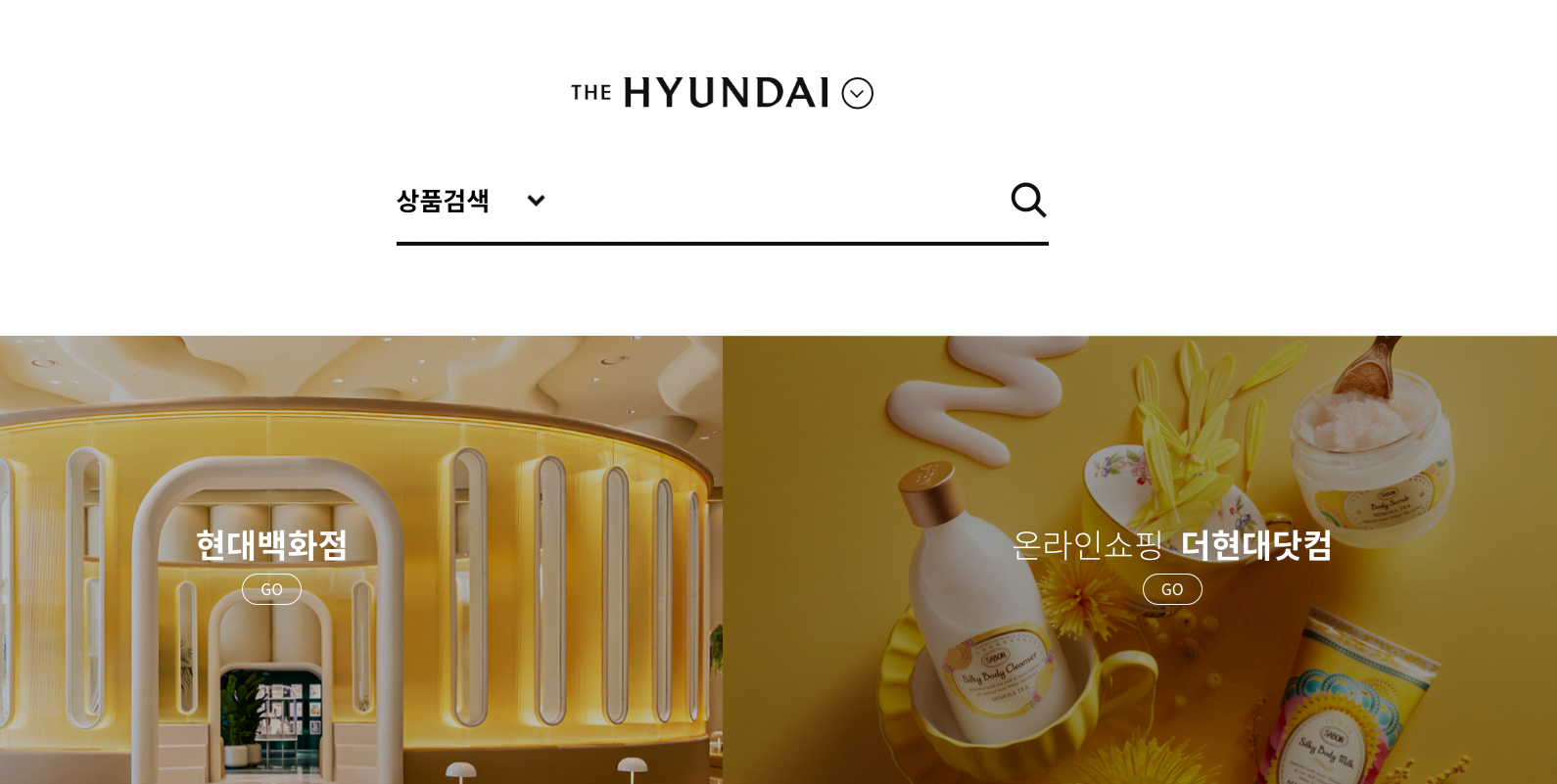 Introduction to Korean Department Store
